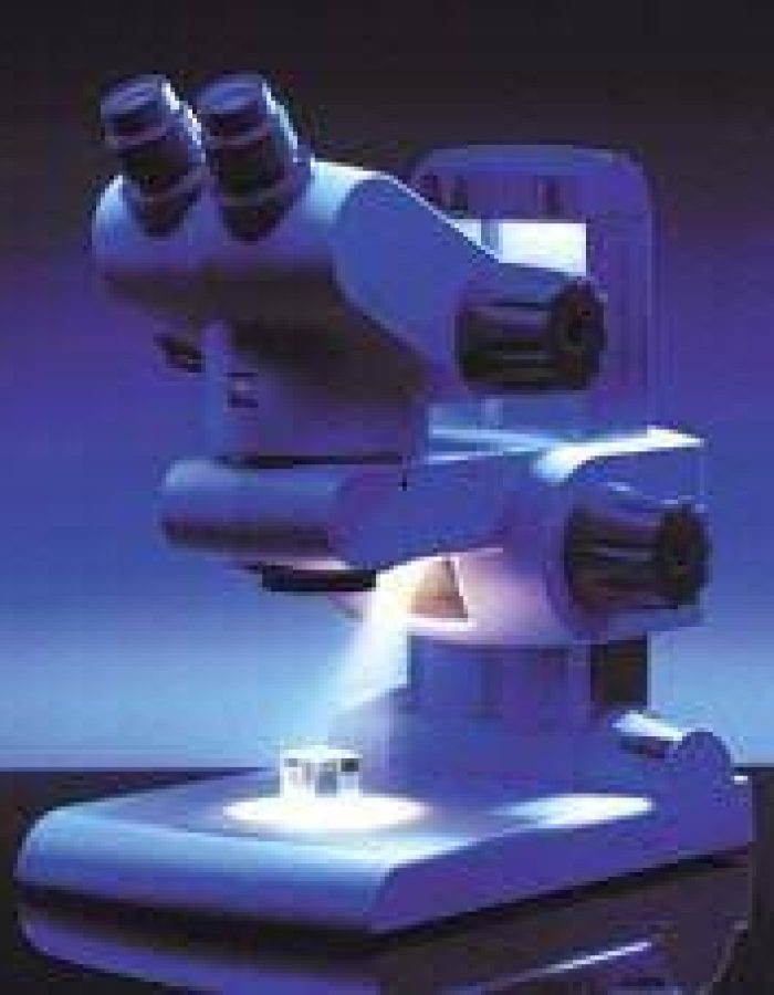 Lupa estereoscopica Zeiss